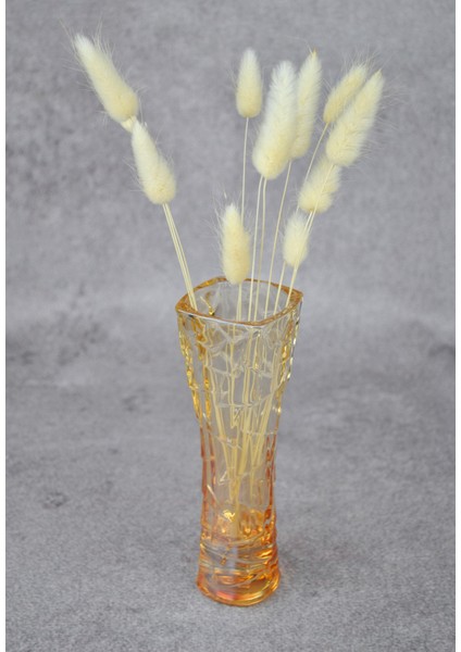 Honey Cam Vazo Mini 17 Cm- 1 Adet