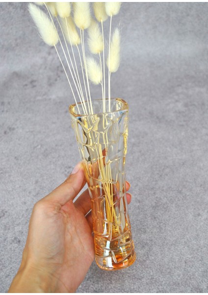 Honey Cam Vazo Mini 17 Cm- 1 Adet fiyatları