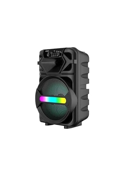 20W 2400 Mah Mikrofonlu LED Işıklı Taşınabilir Bluetooth Hoparlör BTS-410 modelleri