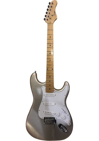 Elektro Gitar L-G2 Silver fiyatları