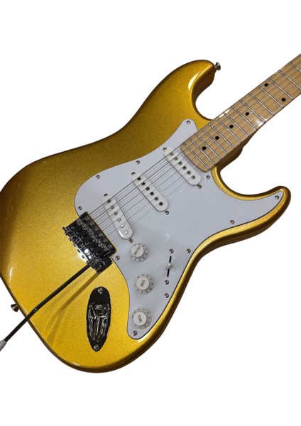 Elektro Gitar L G2 Gd