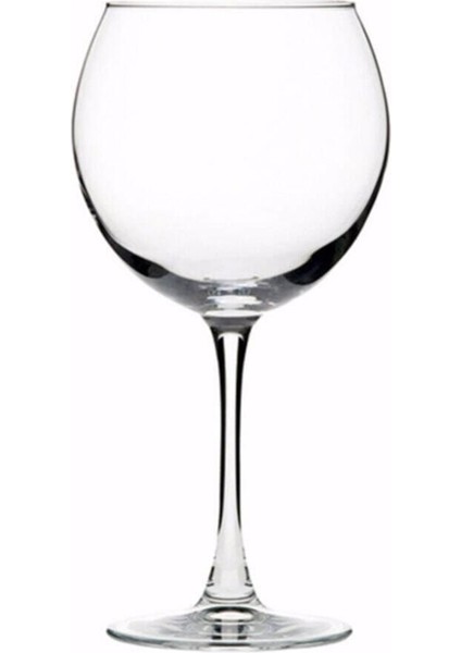 2'li Ayaklı Bardak, 655 Ml, Şık ve Kullanışlı Ev ve Ofis Içeceği Seti