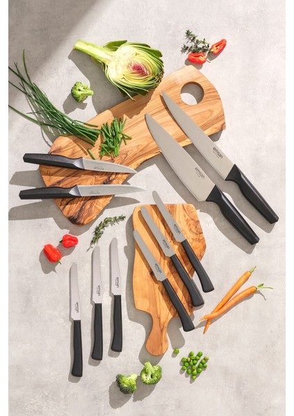 10 Parça Çok Amaçlı Bıçak Seti, Dayanıklı ve Şık Tasarım