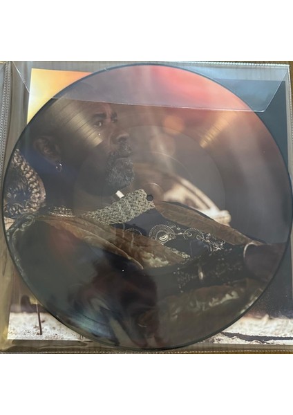 Gladiatör Vol.2 Ost (Picture Disc) - (2 Plak) fırsatları