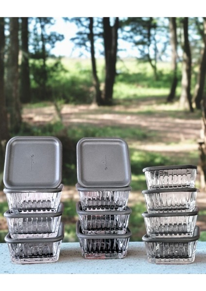 Gri Kapaklı Çok Amaçlı Saklama Kabı 225 Cc, 12'li Set, Orijinal Kutulu modelleri