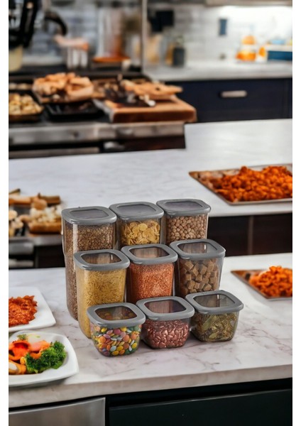 Şeffaf 9'lu Saklama Kabı Seti, Kumsal Desenli, Pratik ve Şık Tasarım fiyatları