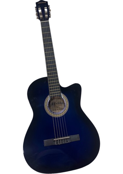 Klasik Gitar GP-C40-C Bls fiyatları