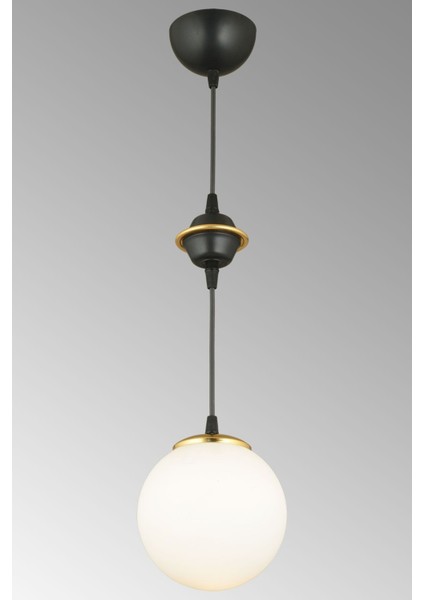 Şık Siyah ve Beyaz Glop Cam Aşağı Bakan Lüks Avize modelleri