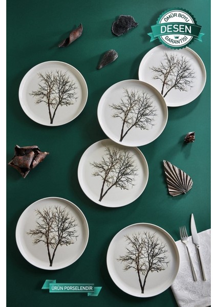 Beyaz 6'lı Pasta Sunum ve Servis Takımı, Şık ve Kullanışlı Tasarım