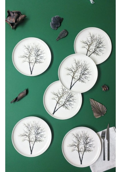 Beyaz 6'lı Pasta Sunum ve Servis Takımı, Şık ve Kullanışlı Tasarım fiyatları