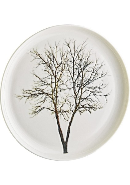 Beyaz 6'lı Pasta Sunum ve Servis Takımı, Şık ve Kullanışlı Tasarım modelleri