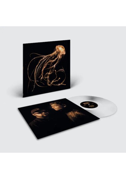 Royal Blood - Back To The Water Below (Limited Clear Vinyl Edition) - Plak