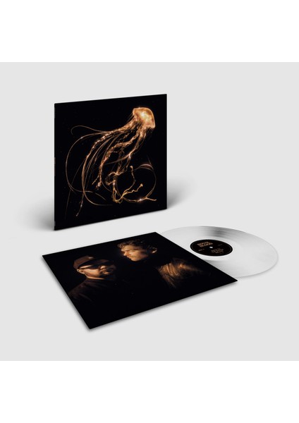Royal Blood - Back To The Water Below (Limited Clear Vinyl Edition) - Plak fiyatları