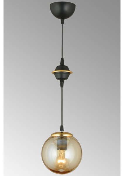 Şık Siyah Tekli Bal Glop Cam Avize, Modern ve Zarif Aydınlatma Parçası fiyatları