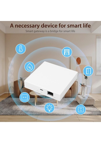 THP10ZX Tuya Destekli Akıllı Kablolu Ağ Geçidi Pro Zigbee/thread/matter Moes Akıllı Ev Ürünleri Için modelleri