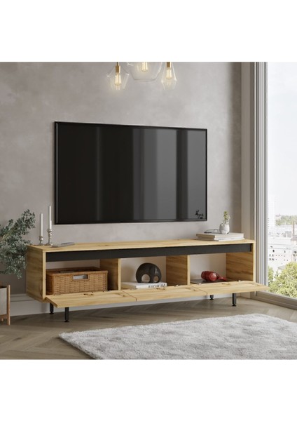 Arya 160CM Tv Ünitesi Tv Sehpası Metal Ayaklı Keçe-Siyah Ary1-Kl fırsatları