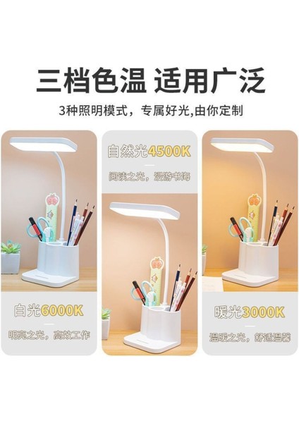 Şarjlı 40 LED Masa Lambası, Ayarlanabilir Renk ve Parlaklık, Kademeli Işık Seçeneği modelleri