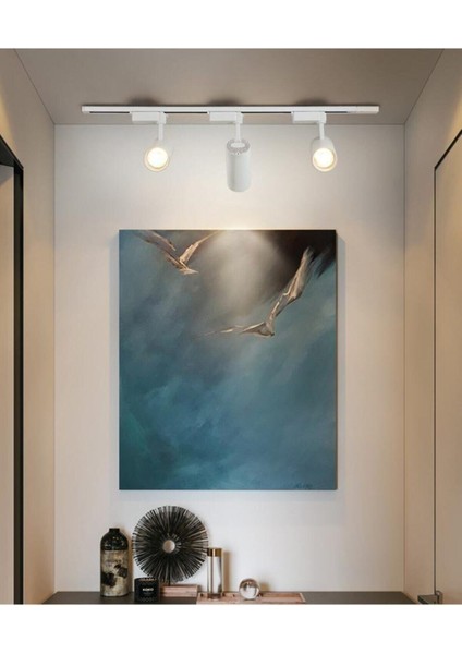 4 Adet Beyaz Günışığı Ray Spot 30W, 1 Metre, Ray Dahil, Modern ve Şık Aydınlatma fırsatları