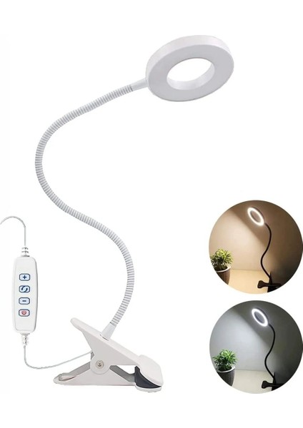 3 Renkli LED Çalışma Okuma Masası Lambası, Ayarlanabilir Renk ve Parlaklık