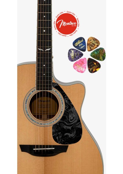 6'lı Gitar Penası + Pena Korumalığı Set