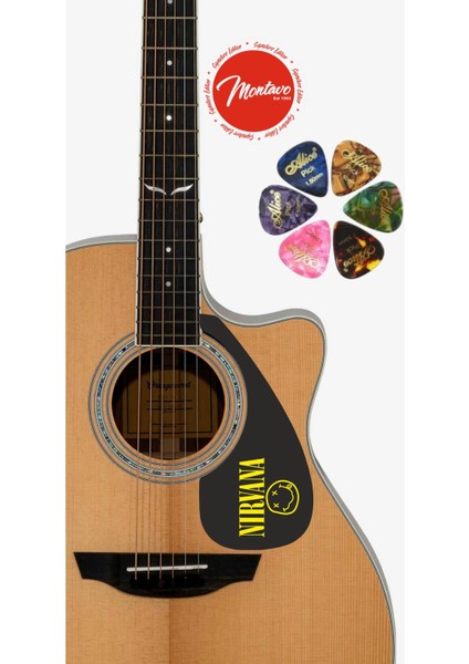 6'lı Gitar Penası + Pena Korumalığı Set