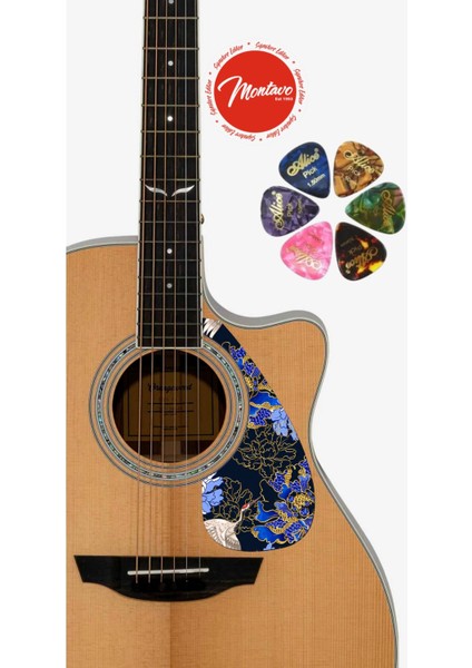 6'lı Gitar Penası + Pena Korumalığı Set