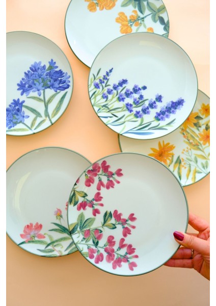 Çok Renkli 20CM Porselen Pasta Tabağı 6 Kişilik 6 Parça modelleri