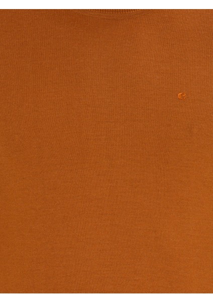 Erkek Tarçın Slim Fit Bisiklet Yaka Basic Triko Kazak 50237038-VR191