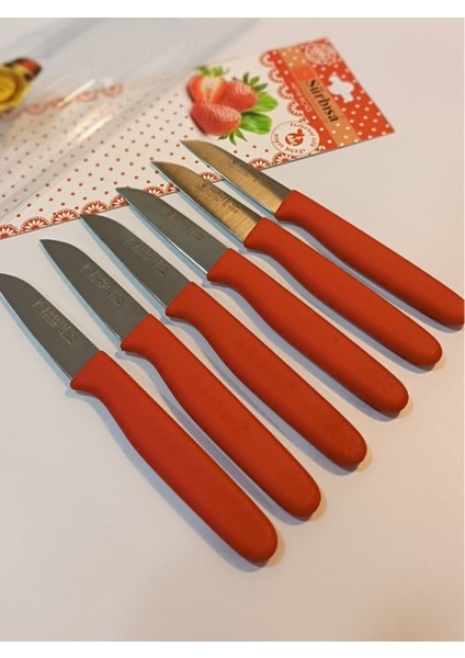 Kırmızı Meyve Bıçağı 6'lı Set, Pratik ve Şık Mutfak Aleti