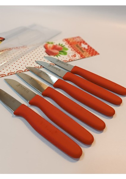 Kırmızı Meyve Bıçağı 6'lı Set, Pratik ve Şık Mutfak Aleti fırsatları