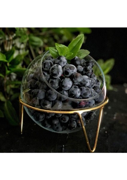 El Yapımı Turuncu Cam Fanus, Saksı, Meyvelik, Mumluk, Akvaryum, Sunumluk