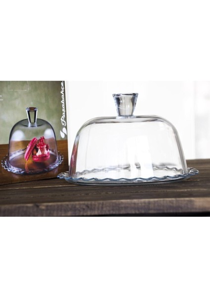 Turuncu Kek Saklama Fanusu, Pratik ve Şık Mutfak Ürünü fırsatları