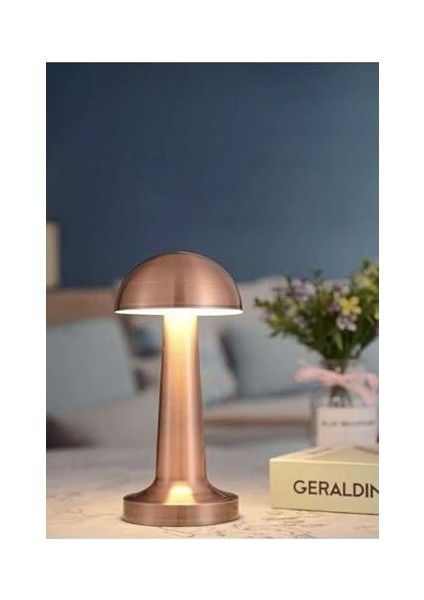 Masa Lambası CT-8430 Tek Anahtarla 3 Renk 61196 fiyatları