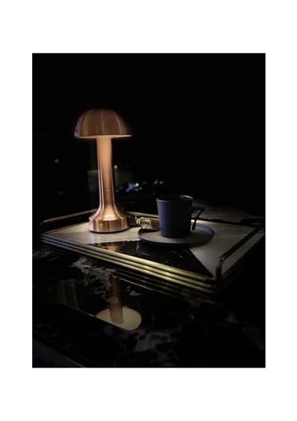 Masa Lambası CT-8430 Tek Anahtarla 3 Renk 61196 modelleri