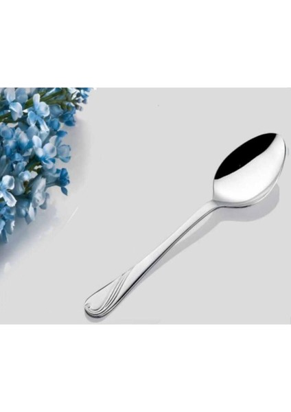 Çok Renkli Inter Çelik Bahar Model Çay Kaşık Takımı 12'li