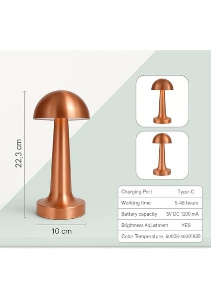 Şarjlı Dokunmatik Masa Lambası Atina Bronz | 3 Renk Modu | Dimmerli Taşınabilir Şarjlı Lamba | USB Şarjlı Cafe Restoran Masa Lambası | Şık ve Kompakt Tasarım modelleri