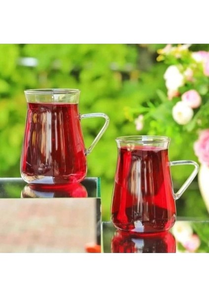 6'lı Kulplu Cam Çay Kupası Takımı, Beyaz, Şık ve Dayanıklı Tasarım fiyatları