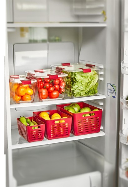 4 Lt. Saklama Kabı, Bordo, Dayanıklı ve Şık Tasarım fiyatları