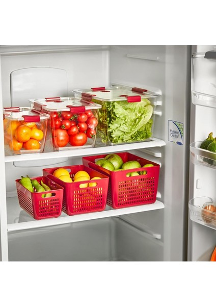 4 Lt. Saklama Kabı, Bordo, Dayanıklı ve Şık Tasarım indirimleri