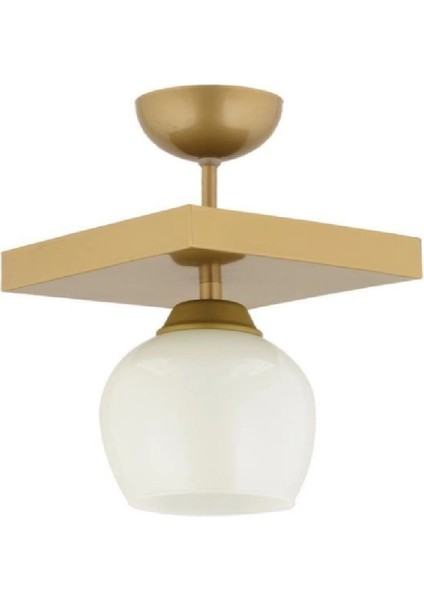 Modern Beyaz Camlı Tekli Kare Avize, Şık ve Şeffaf Tasarım