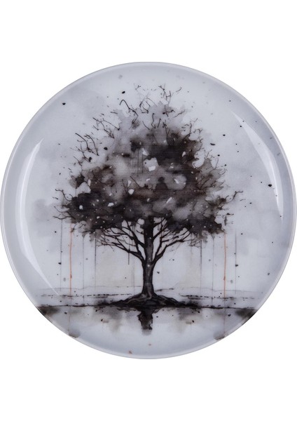 Renkli 4 Parça 10 cm Tabak Takımı, Şık ve Kullanışlı Set modelleri