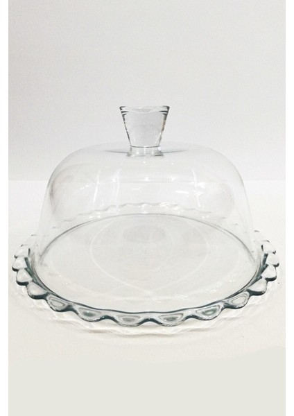 Beyaz Petite Pasta Fanusu, Şık ve Kullanışlı Tatlı Sunum Aksesuarı fiyatları