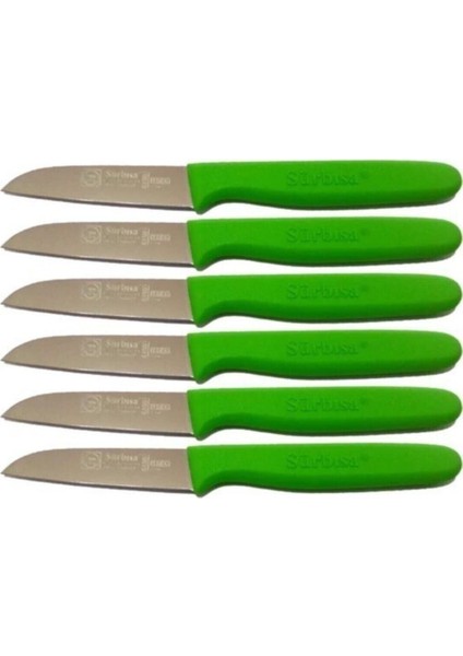 Yeşil Renkli 6'lı Meyve Bıçağı Seti, Kullanışlı ve Şık Tasarım modelleri