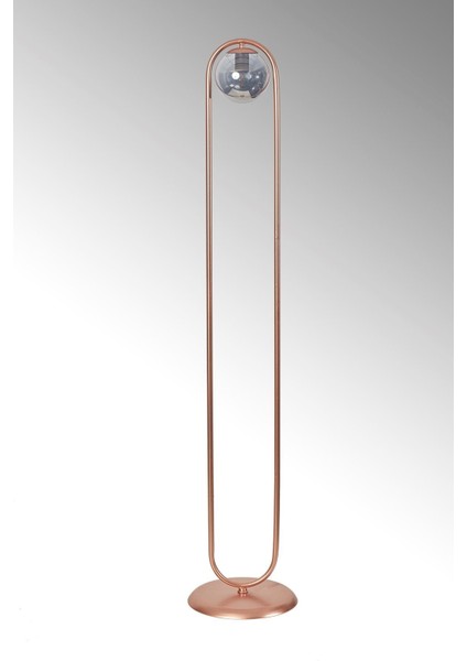 Şık Metal Gövde Füme Camlı Modern Yerden Aydınlatma Lambası modelleri