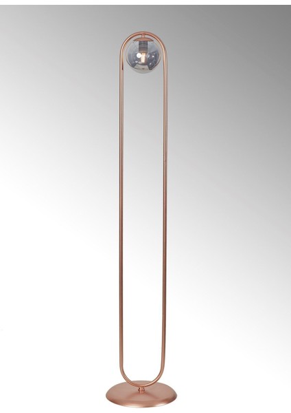 Şık Metal Gövde Füme Camlı Modern Yerden Aydınlatma Lambası indirimleri