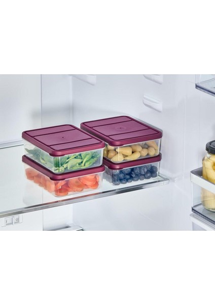 Renkli 4'lü 0.5 L Saklama Kabı Seti, Çok Amaçlı ve Şık Tasarım modelleri