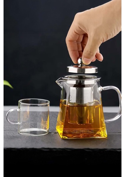 Isıya Dayanıklı Borosilikat Cam Demlik 950 Ml, Çelik Süzgeçli, Ocak Üstü Çaydanlık modelleri
