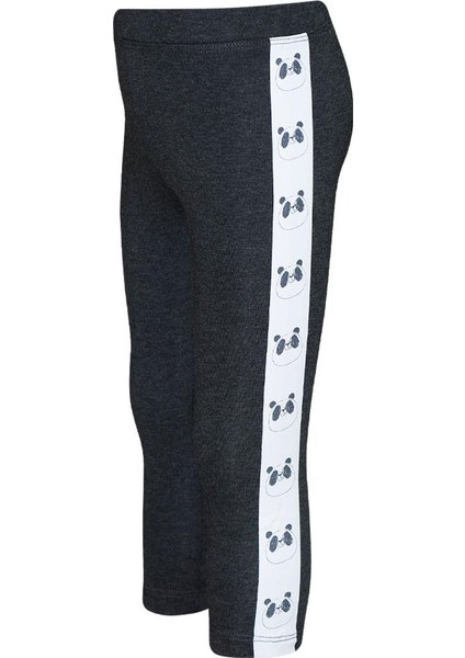 Antrasit Kız Çocuk Şardonlu Yanda Panda Baskılı Tayt