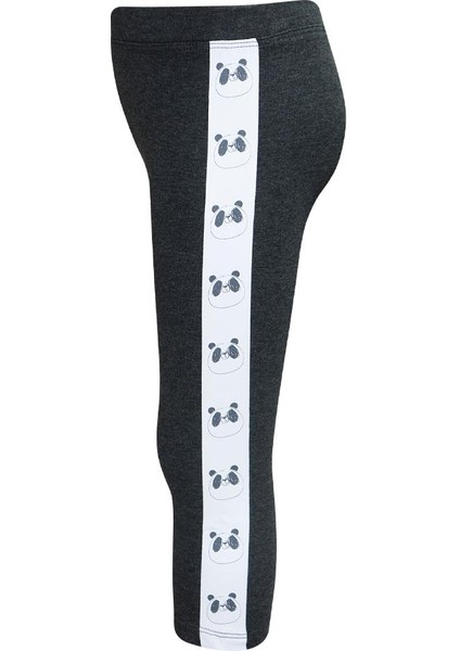 Antrasit Kız Çocuk Şardonlu Yanda Panda Baskılı Tayt fiyatları