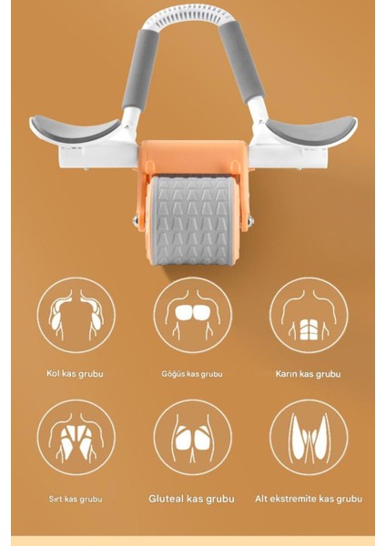 Sağlıklı ve Güçlü Karın Kasları Için Etkili Antrenman Seti fiyatları